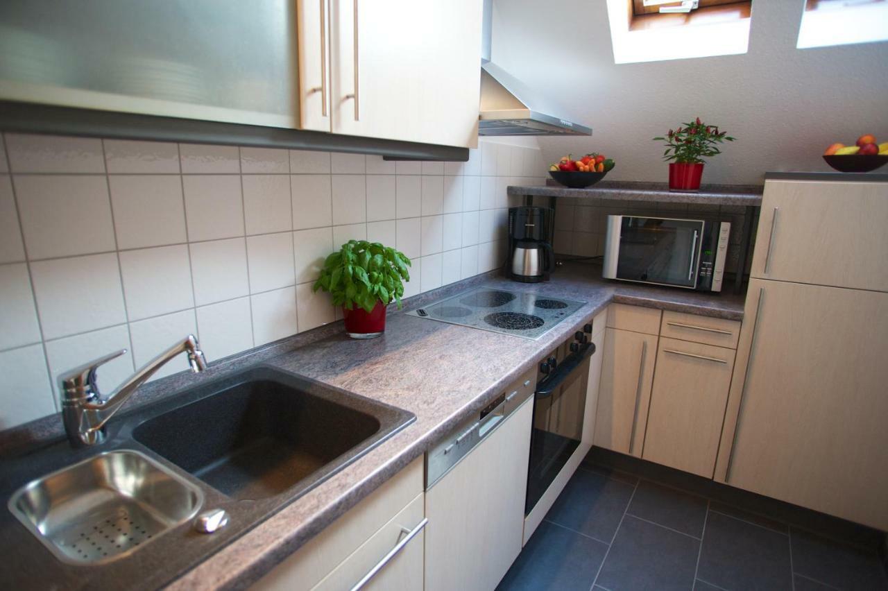 Neumann Apartment Marbach am Neckar Dış mekan fotoğraf